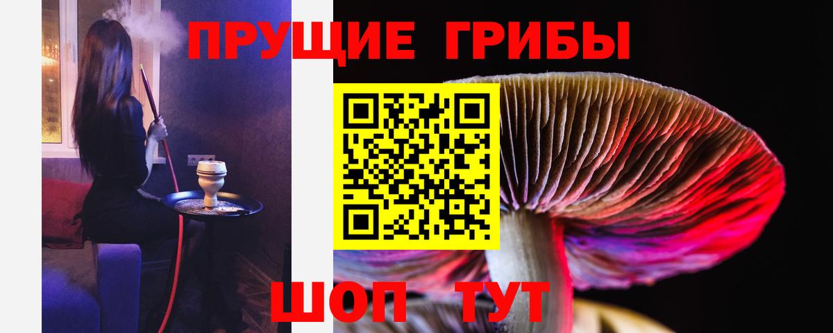 Галлюциногенные грибы Psilocybe  Вход с VPN  Костомукша 